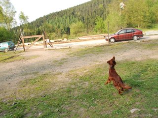2010-05-29_ntb_9864