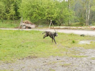 2010-05-30_ntb_0001
