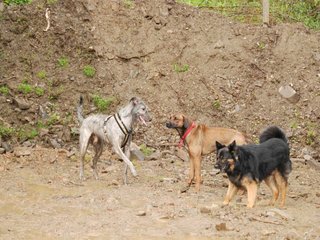 2010-05-30_ntb_0003