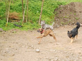 2010-05-30_ntb_0004