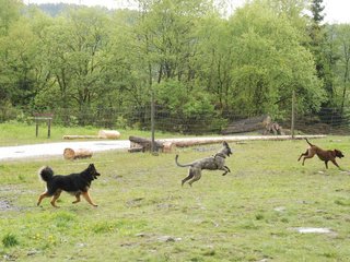 2010-05-30_ntb_0005