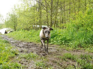 2010-05-30_ntb_0006