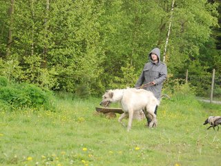 2010-05-30_ntb_0008