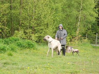 2010-05-30_ntb_0009