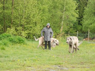 2010-05-30_ntb_0010