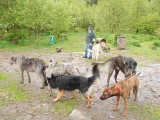 2010-05-30_ntb_0014