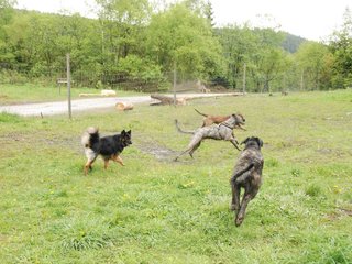 2010-05-30_ntb_0015