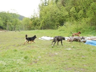 2010-05-30_ntb_0016