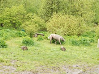 2010-05-30_ntb_0021