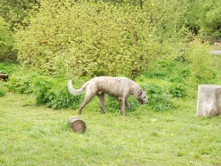 2010-05-30_ntb_0022