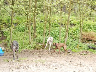 2010-05-30_ntb_0023