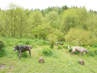 2010-05-30_ntb_0025