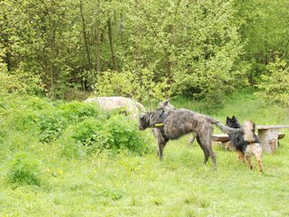 2010-05-30_ntb_0026