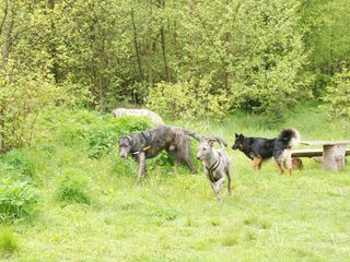 2010-05-30_ntb_0027