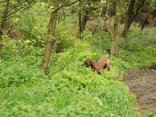 2010-05-30_ntb_0032
