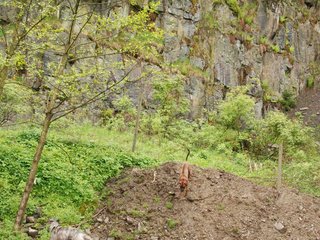 2010-05-30_ntb_0037
