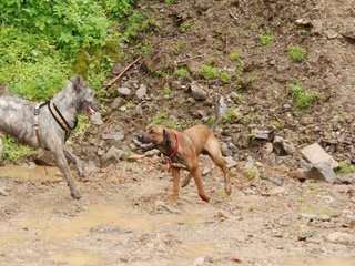 2010-05-30_ntb_0038