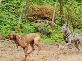 2010-05-30_ntb_0039