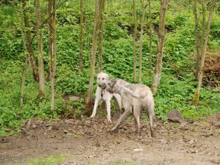 2010-05-30_ntb_0041