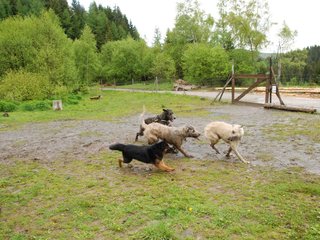 2010-05-30_ntb_0043
