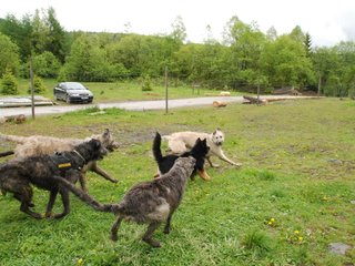 2010-05-30_ntb_0046