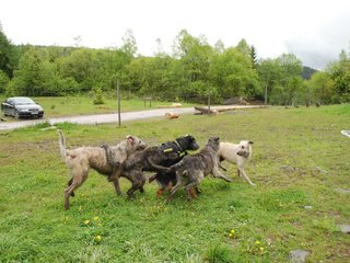 2010-05-30_ntb_0047