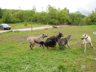 2010-05-30_ntb_0048
