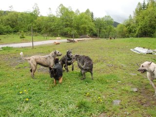 2010-05-30_ntb_0049