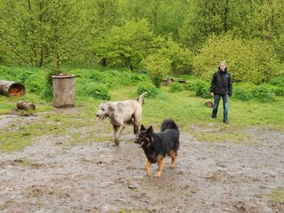 2010-05-30_ntb_0050