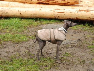 2010-05-30_ntb_0051