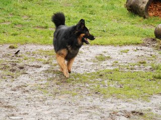 2010-05-30_ntb_0057