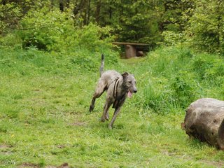 2010-05-30_ntb_0058