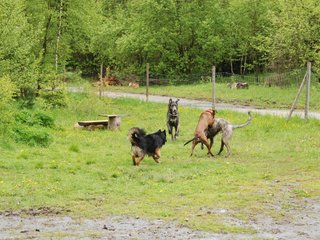 2010-05-30_ntb_0060