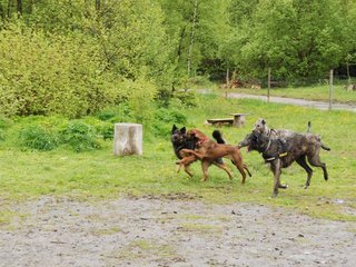 2010-05-30_ntb_0063