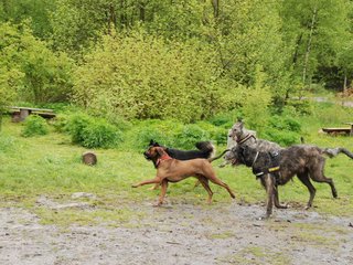2010-05-30_ntb_0064