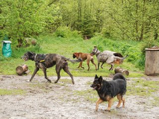 2010-05-30_ntb_0065
