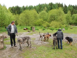 2010-05-30_ntb_0067