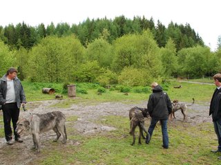 2010-05-30_ntb_0068