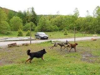 2010-05-30_ntb_0069