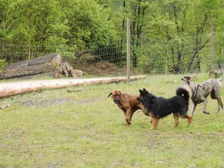 2010-05-30_ntb_0070