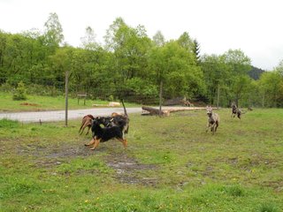2010-05-30_ntb_0075