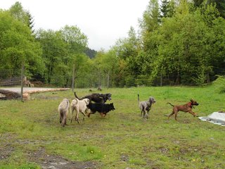 2010-05-30_ntb_0076