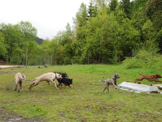2010-05-30_ntb_0077