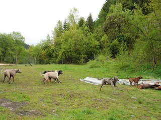 2010-05-30_ntb_0078