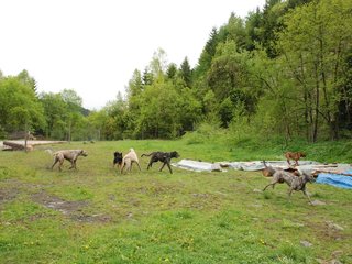 2010-05-30_ntb_0079