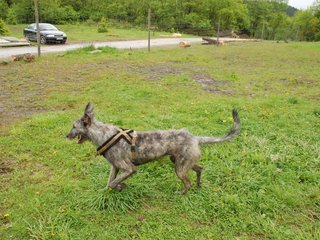 2010-05-30_ntb_0080