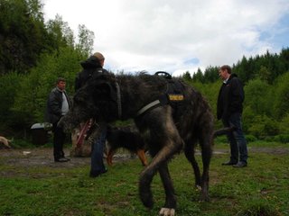 2010-05-30_ntb_0082