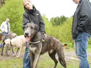 2010-05-30_ntb_0086