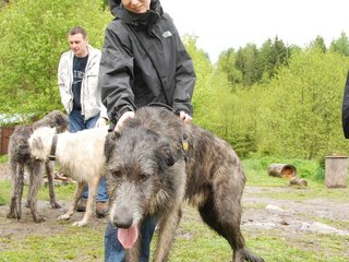 2010-05-30_ntb_0087