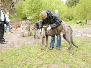 2010-05-30_ntb_0089
